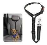 Ceinture de sécurité voiture chien – laisse voyage petit animal
