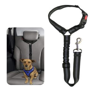 Ceinture de sécurité voiture chien – laisse voyage petit animal
