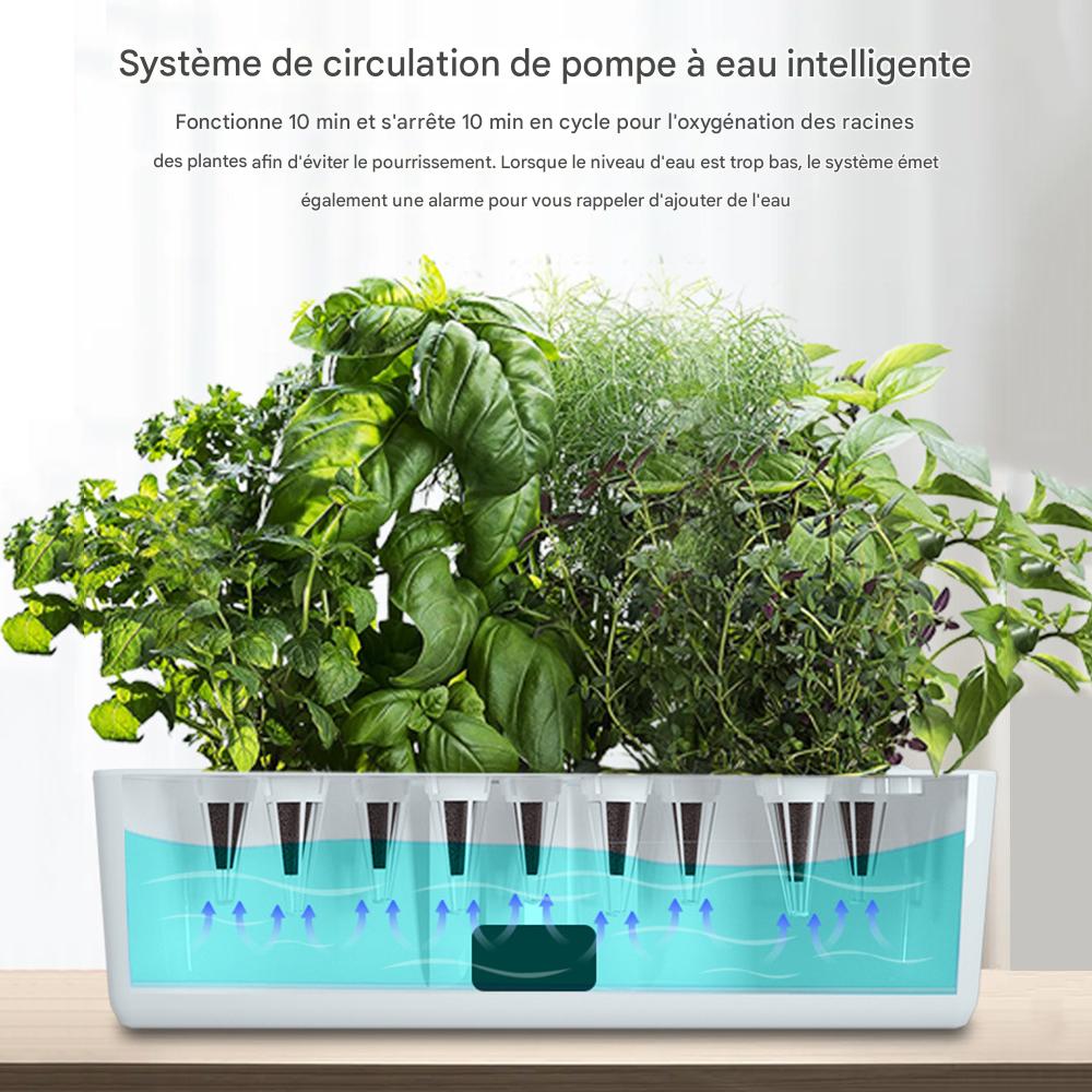 Kit Jardin Hydroponique Intelligent – Pompe & Minuterie – Image 4