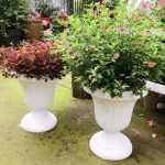 Grand Pot Colonne Romaine – Piédestal Planteur Blanc