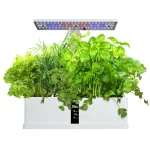 Kit Jardin Hydroponique Intelligent – Pompe & Minuterie