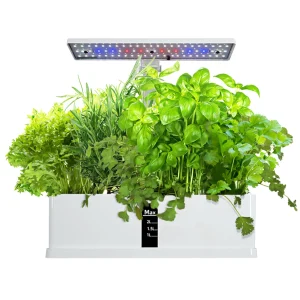 Kit Jardin Hydroponique Intelligent – Pompe & Minuterie