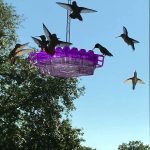 Mangeoire à colibris anti-fourmis, perchoir suspendu d'extérieur