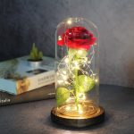 Rose éternelle rouge sous verre avec LED rouge