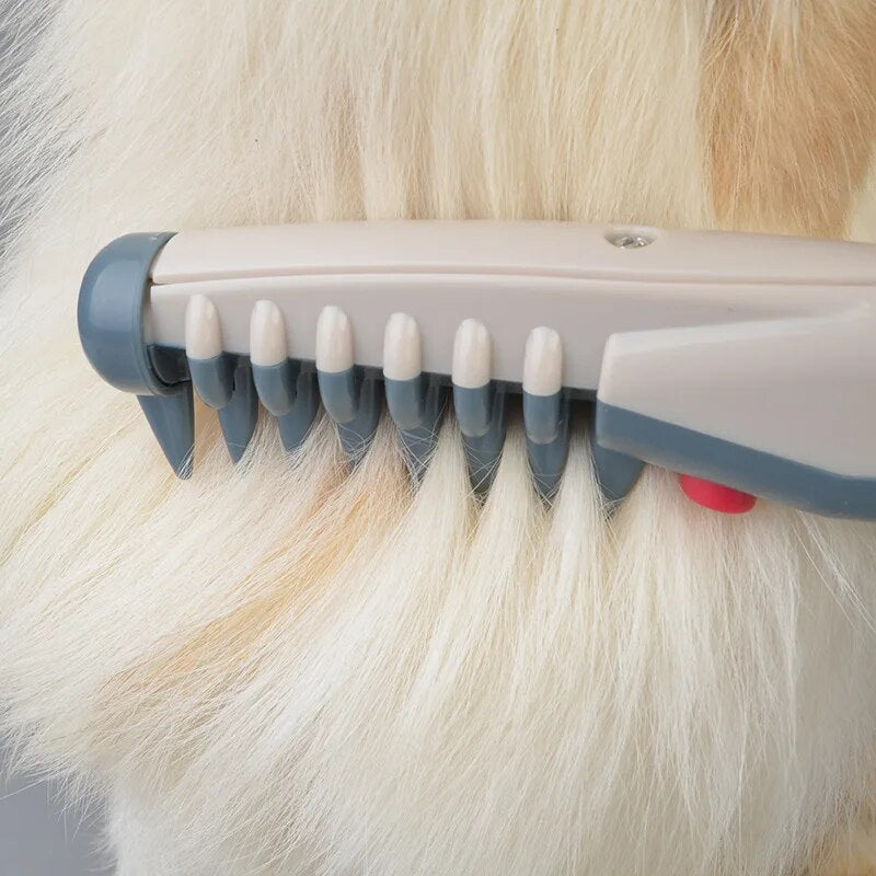 Peigne de Toilettage Électrique – Brosse Rapide pour Chiens et Chats – Image 2