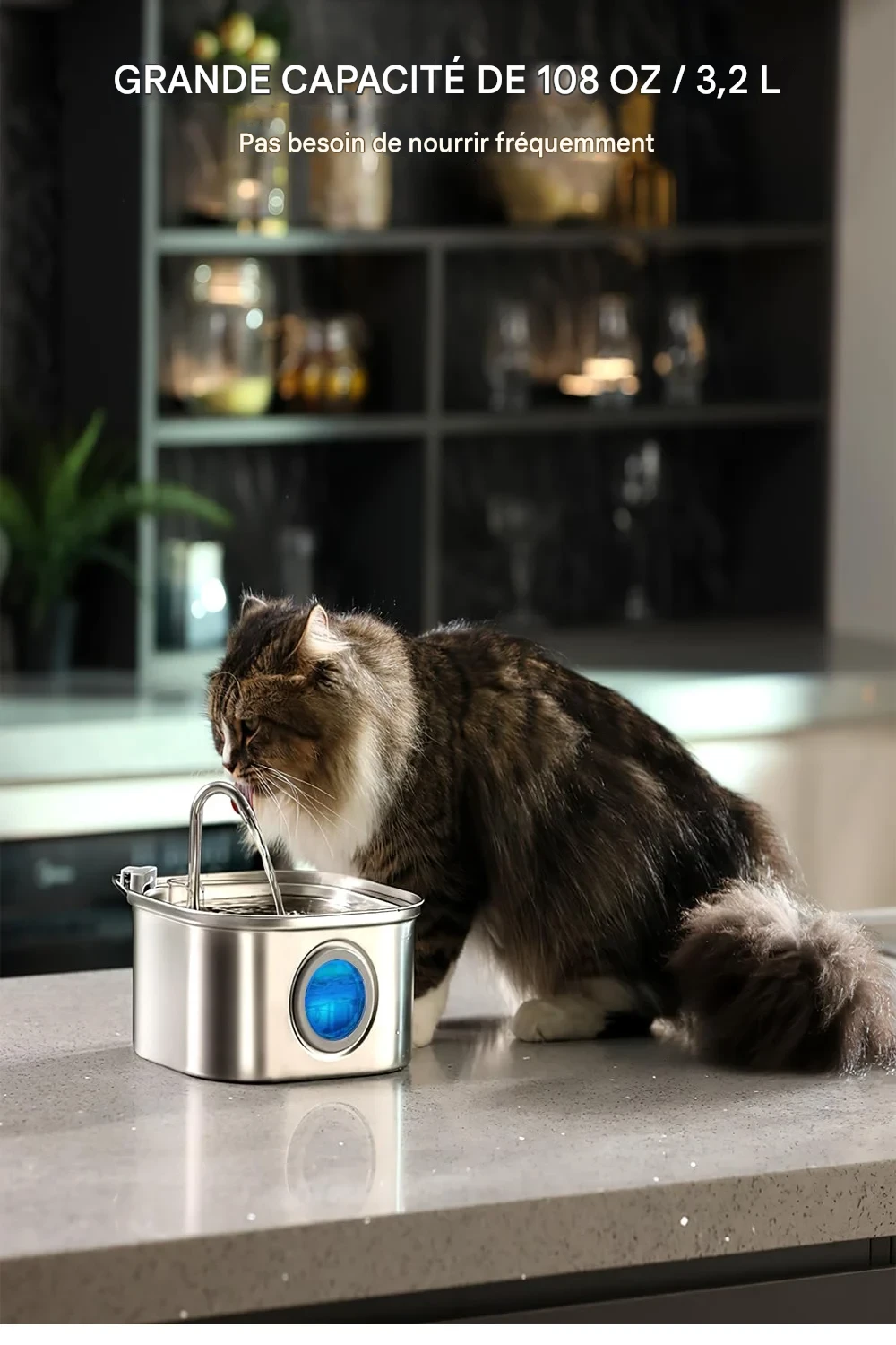 Distributeur d’Eau Automatique pour Animaux 3,2L Inox – Image 5