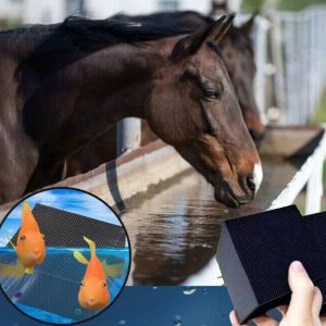 Purificateur d’Eau Bio Cube pour Aquarium et Abreuvoir