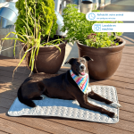 Tapis Fraîcheur Animaux Ultime Respirant Confort Été