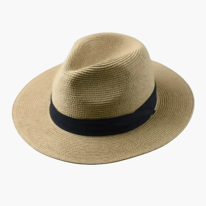Chapeau Panama Homme Classique Élégant Style Été Urbain