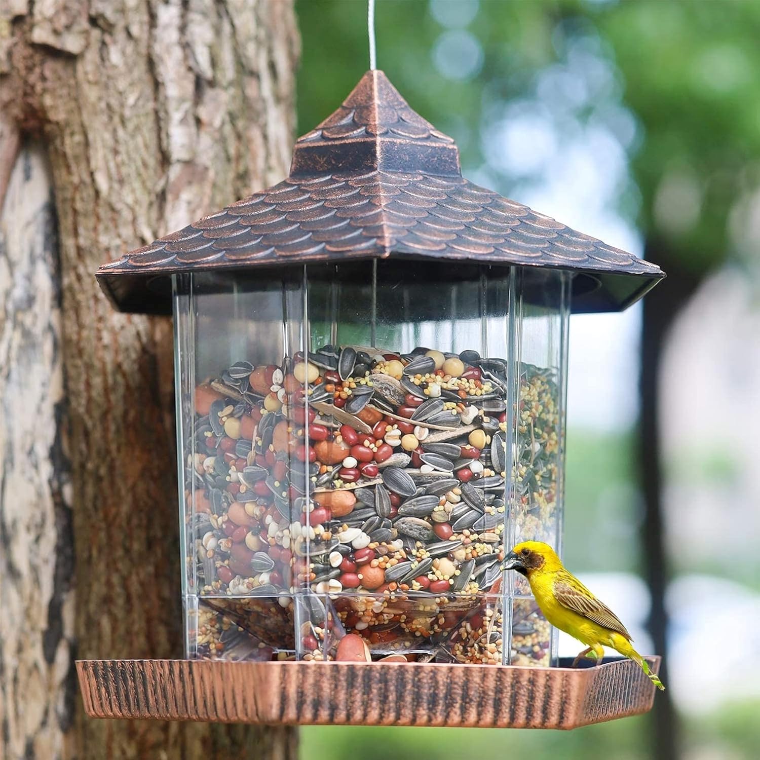 Mangeoire Oiseaux Jardin Suspendue Toit Cuivre Réservoir Graine – Image 2