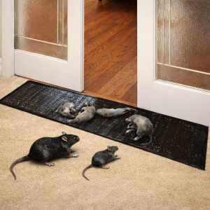 Tapis collant anti-nuisibles rongeurs insectes XL