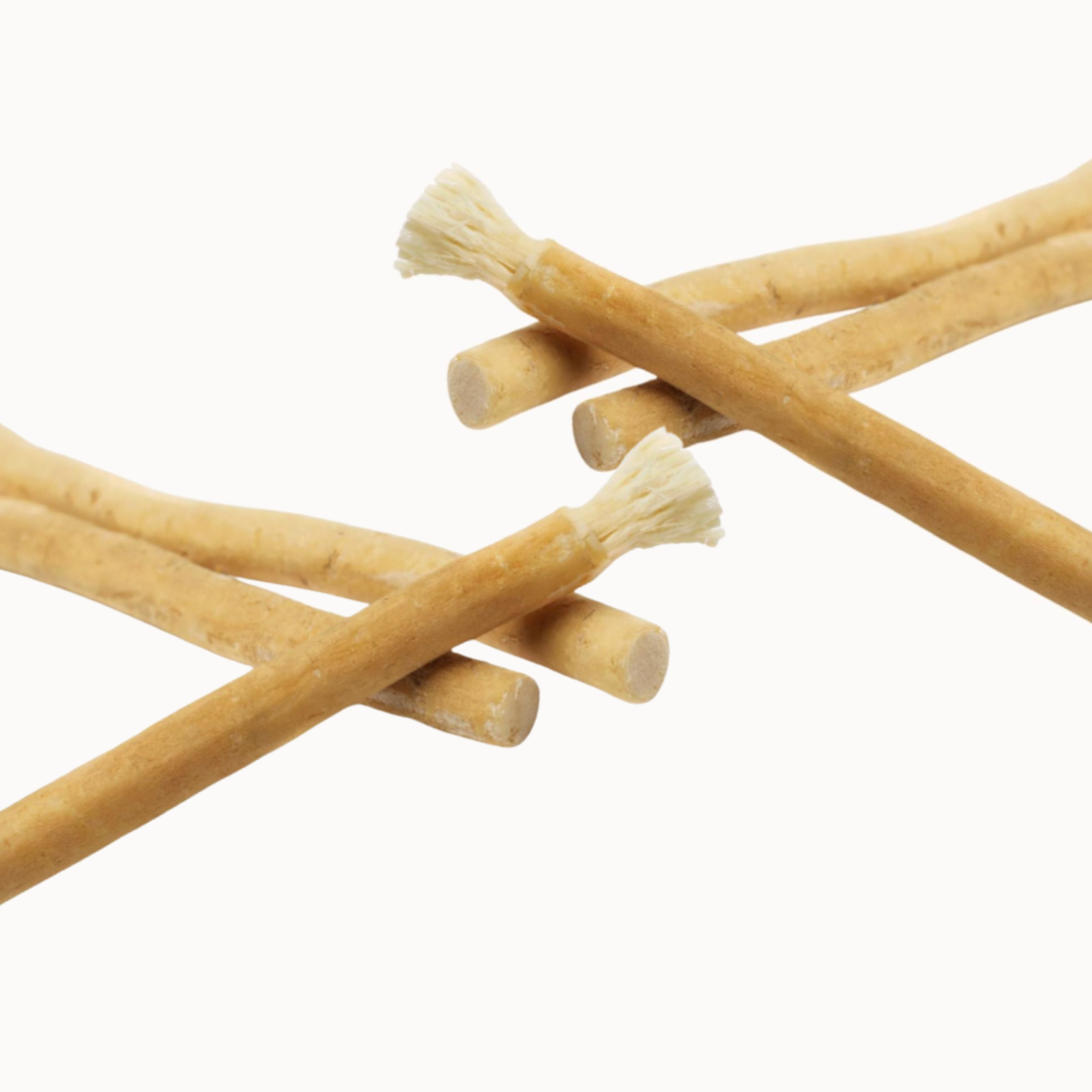 Bâtonnets Miswak naturels Salvadora Persica 12 pièces – Image 5