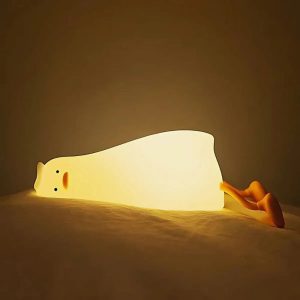Canard paresseux