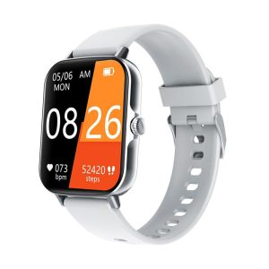 F107 Argent/Silicone blanc cassé