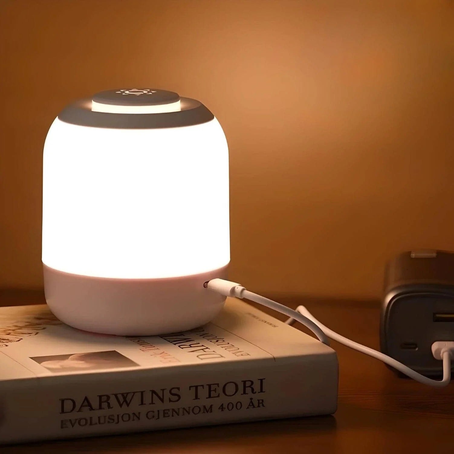 Veilleuse rechargeable USB luminosité réglable – Image 4