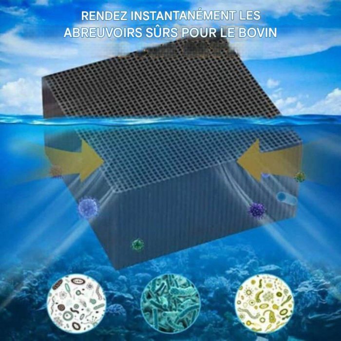 21_1200x_c218c9f8-8942-4dcc-8c11-4fa11f6abf0c-800x800-1 (1)