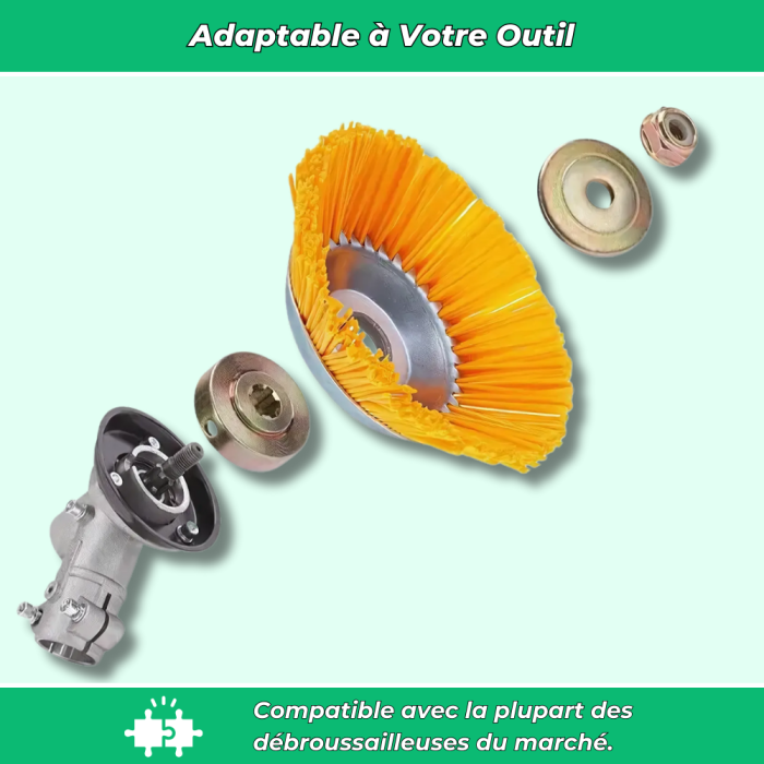 4_8cb8e89a-9b21-4790-972a-baf69522e56b (1)