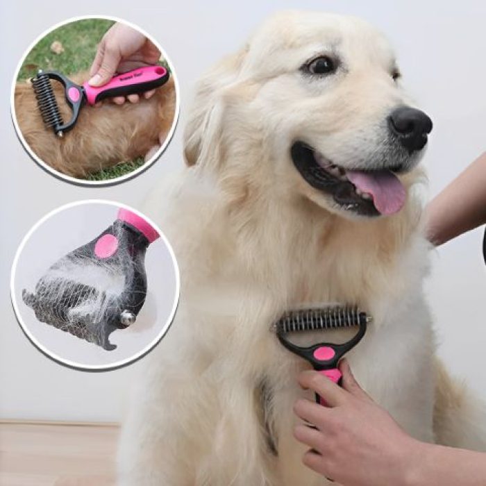 Brosse_Chien_Poil_Long-Rosco_rose_sur_chien_poil_blond