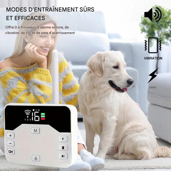 Collier_de_Dressage5 (1)