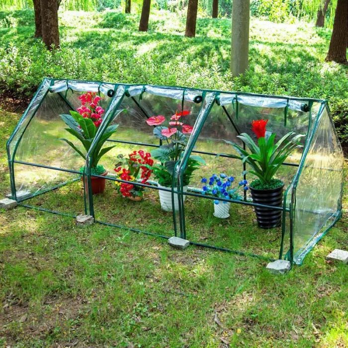 Mini-serre-_de_jardin-fleurs