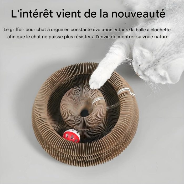 Sa1497862163f4b72bf97cad015cbe6cfg (1)
