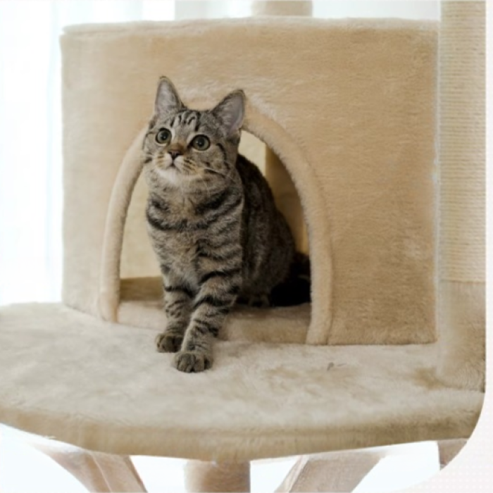 Sa4bece484fa54e12ba615ec2128928dcN_cleanup