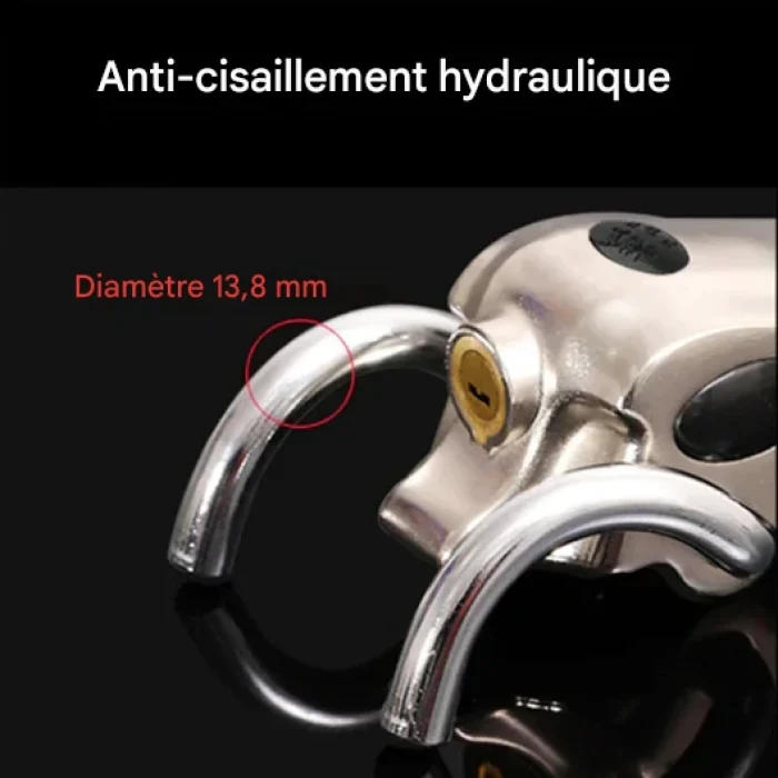 input-onlineimagetools_ea16ff8a-9a56-4cb9-903f-32c03608cb51 (1)