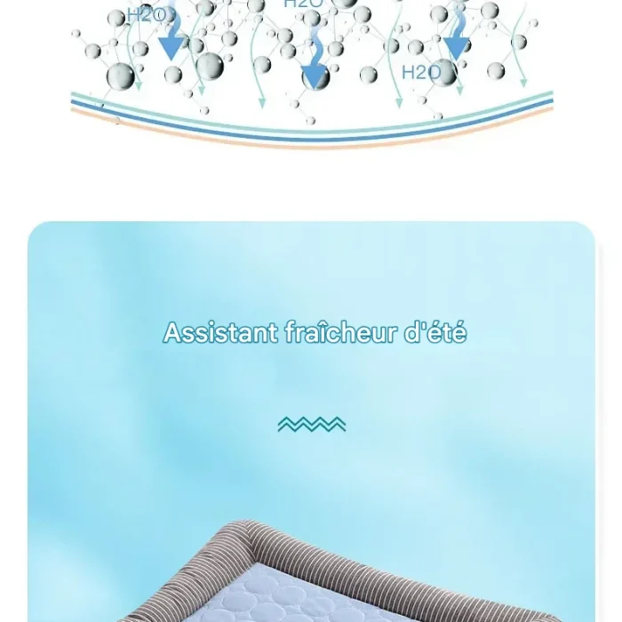 kf-S64677ec3e2ad4e81acb63752a81ea335c (1)