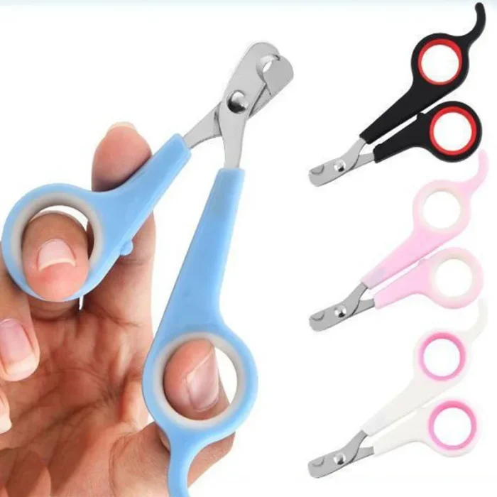 kf-Sbcb4c5ef81334d24a990f5ca4ae007bbv