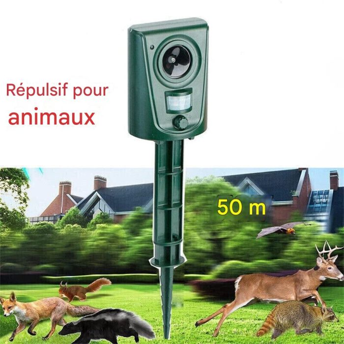 main-image-1 (2)